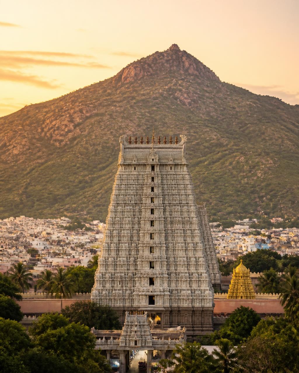 Arunachaleswarar temple gopuram below Arunachala hill at golden hour